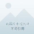 1855美国大亨 1855美国大亨