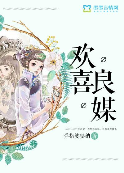欢喜良媒 欢喜良媒