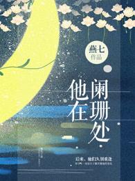 他在阑珊处 他在阑珊处