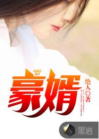 豪婿 豪婿