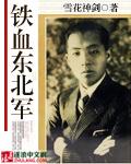 铁血东北军 铁血东北军