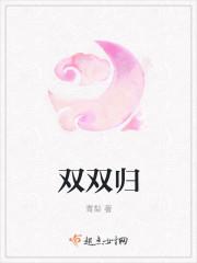 双双归 双双归