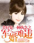 盛世军婚 盛世军婚