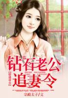 情逢帝少:钻石老公追妻令 情逢帝少:钻石老公追妻令