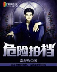 危险拍档 危险拍档