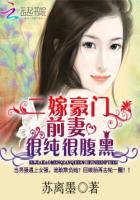 二嫁豪门:前妻很纯很腹黑 二嫁豪门:前妻很纯很腹黑