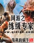网游之练级专家 网游之练级专家