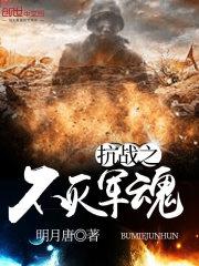 抗战之不灭军魂 抗战之不灭军魂
